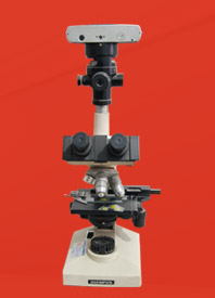 唐山偉業(yè)塑料有限公司，化纖色母粒，丙綸色母粒，色母粒，無(wú)紡布色母粒，ASA共擠色母料，熔噴料